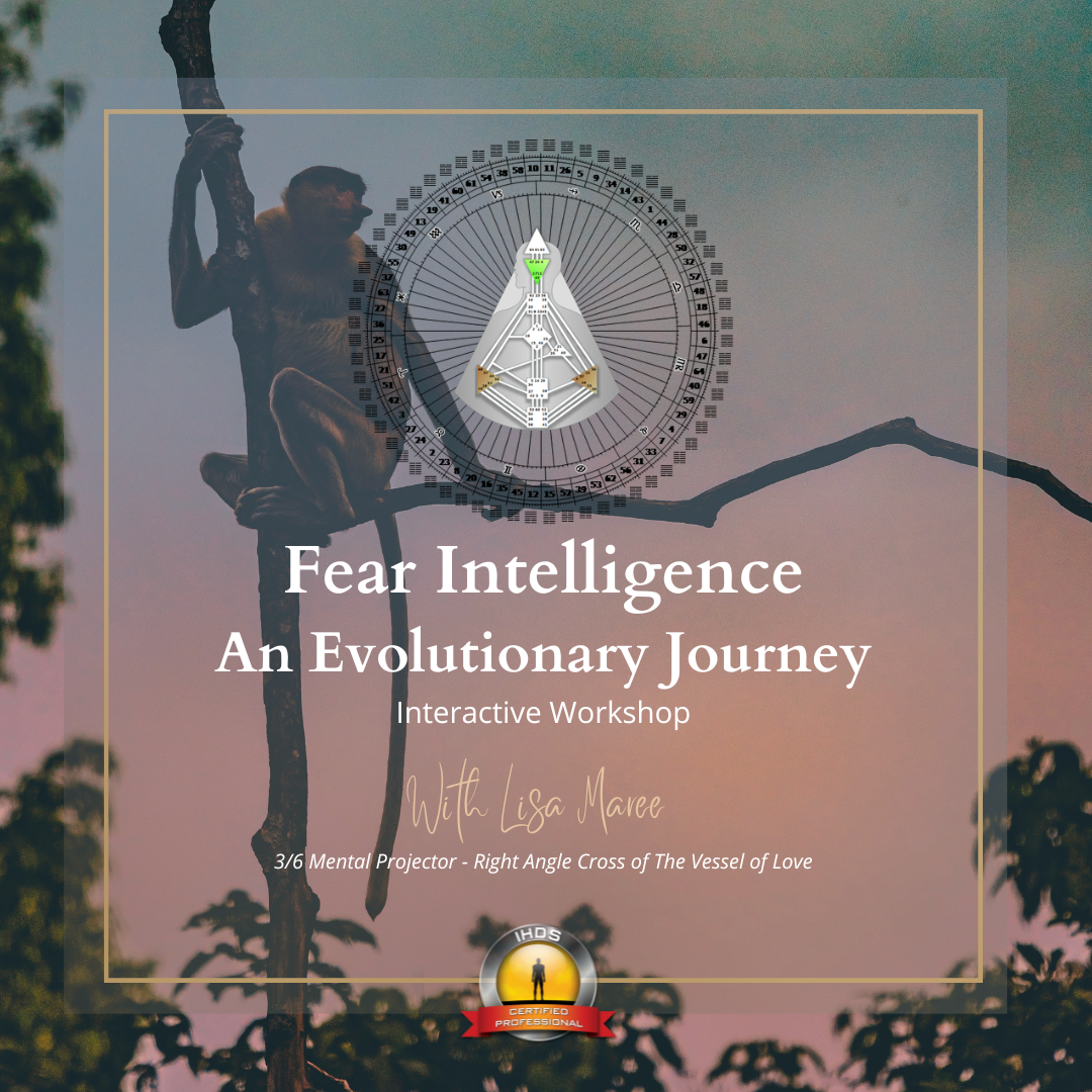 Evolutionary Journey Image